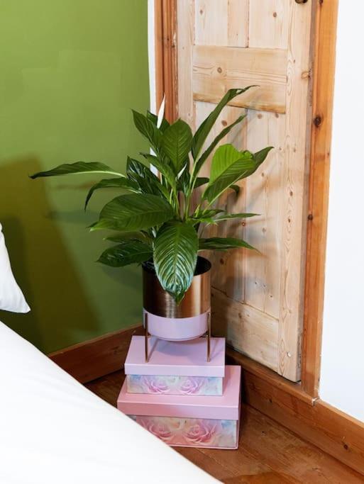 Cosy Cottage In Central Reading Free Parking & Fast Wifi المظهر الخارجي الصورة